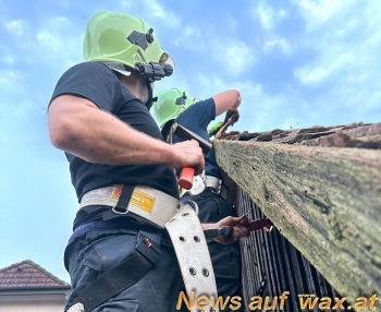 wax.at News