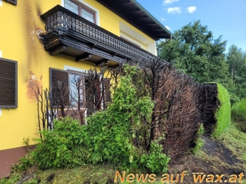 wax.at News