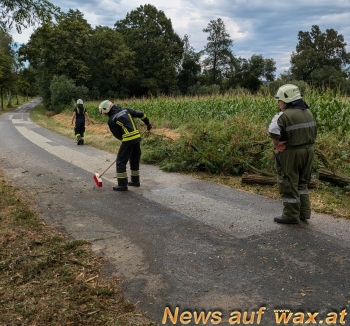 wax.at News