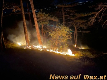 wax.at News