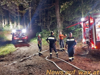 wax.at News