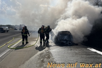 wax.at News