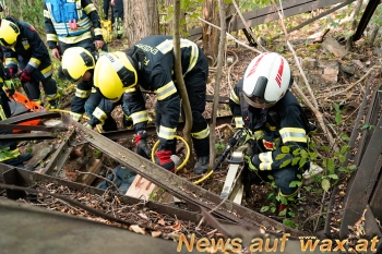 wax.at News