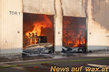 wax.at News