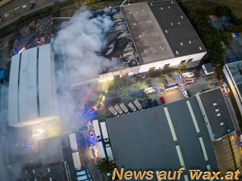 wax.at News