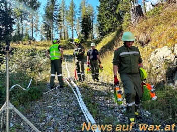 wax.at News