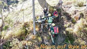 wax.at News