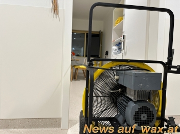 wax.at News