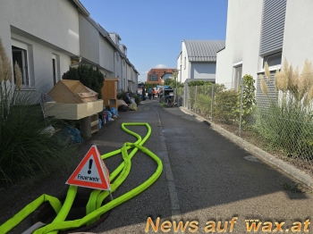 wax.at News