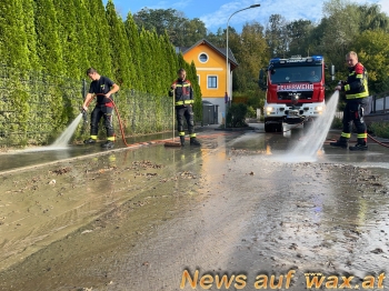wax.at News