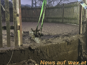 wax.at News
