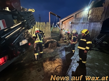 wax.at News
