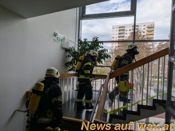 wax.at News