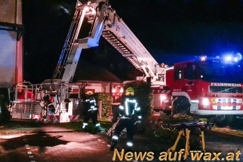 wax.at News