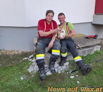 wax.at News