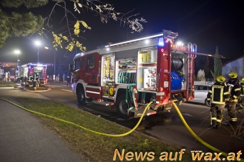 wax.at News