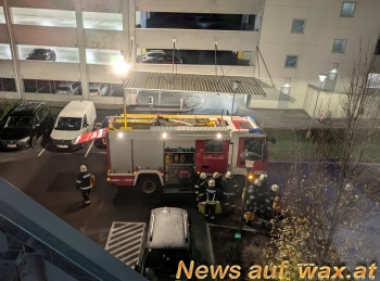 wax.at News