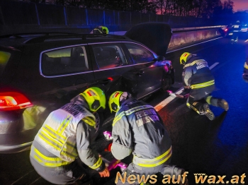 wax.at News