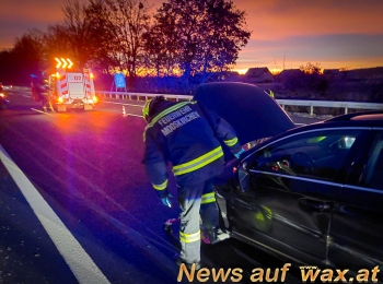 wax.at News