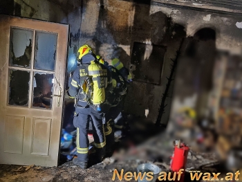 wax.at News