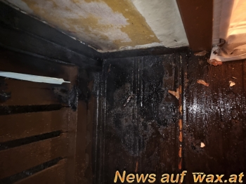 wax.at News