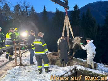wax.at News