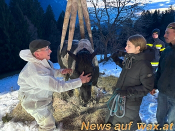wax.at News
