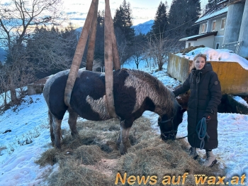 wax.at News