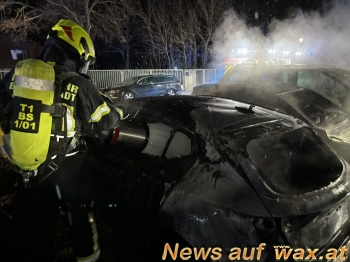 wax.at News