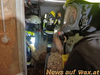 wax.at News