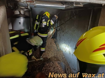 wax.at News