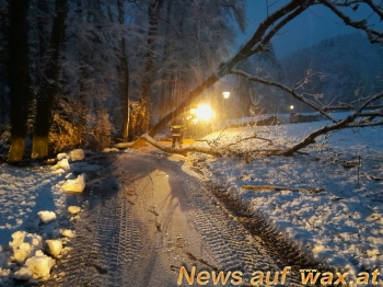 wax.at News