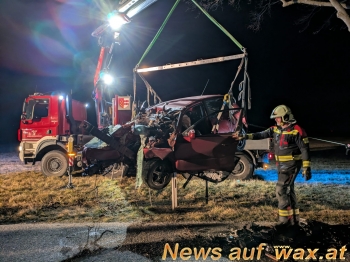 wax.at News