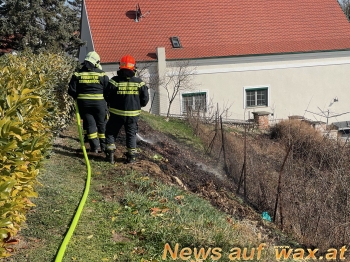wax.at News