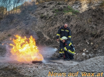 wax.at News