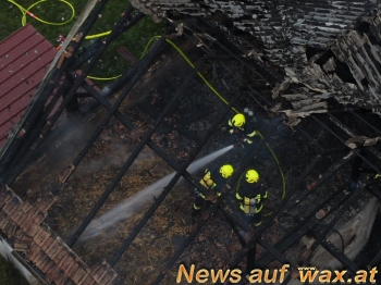 wax.at News