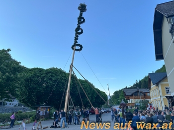 wax.at News