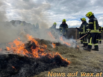 wax.at News