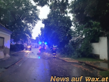 wax.at News