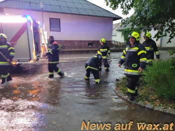 wax.at News