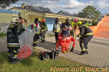 wax.at News
