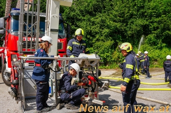 wax.at News