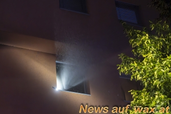 wax.at News
