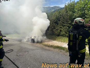wax.at News