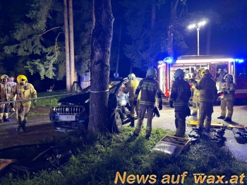 wax.at News