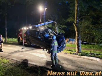 wax.at News