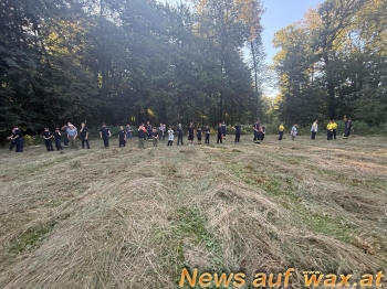wax.at News