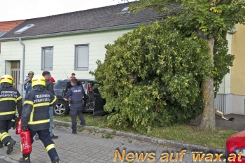 wax.at News