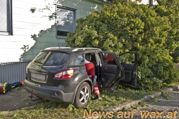 wax.at News