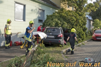 wax.at News